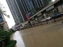 深圳宝安区最新爆料,揭秘深圳西部发展新动向