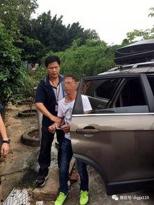 德庆县爆料新闻最新,最新爆料揭示惊人真相